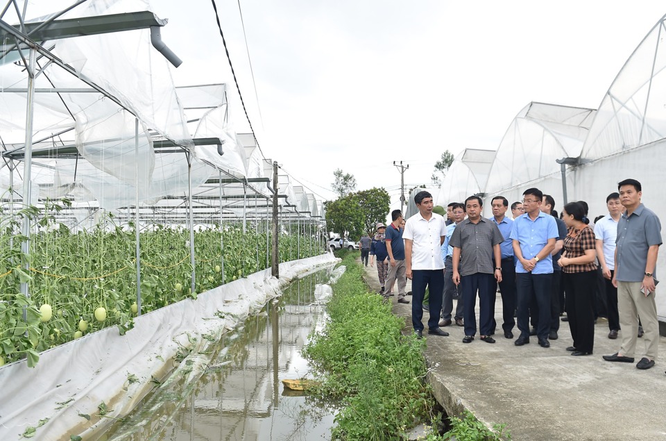 Ph&oacute; Thủ tướng L&ecirc; Th&agrave;nh Long kiểm tra chỉ đạo khắc phục sau b&atilde;o tại tỉnh Hải Dương.