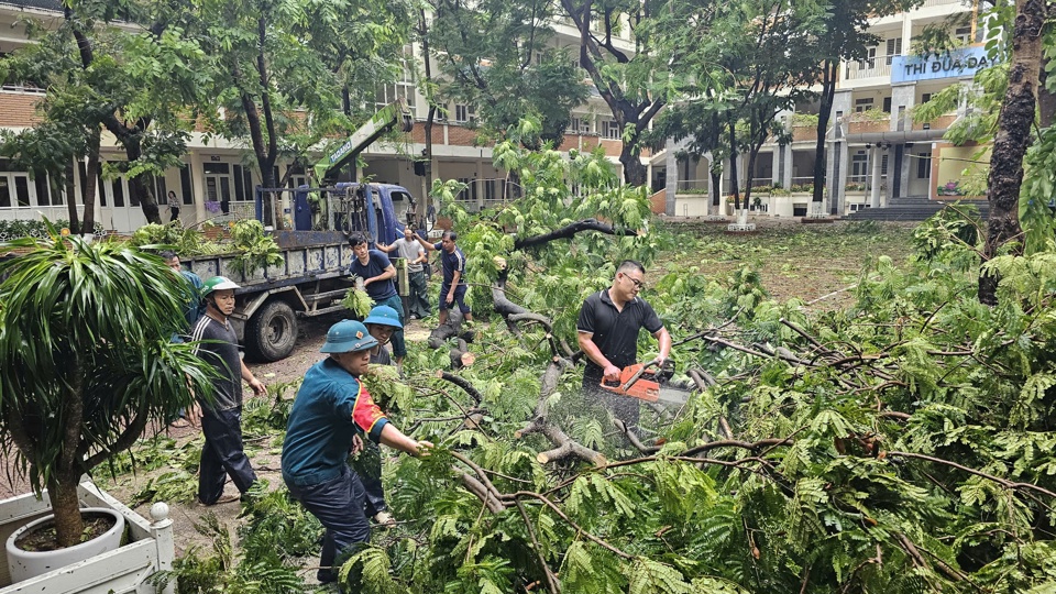 Lực lượng chức năng v&agrave; c&aacute;c gi&aacute;o vi&ecirc;n, phụ huynh học sinh trường Tiểu học Nghĩa T&acirc;n tổ chức dọn dẹp c&acirc;y xanh bị gẫy đỗ.