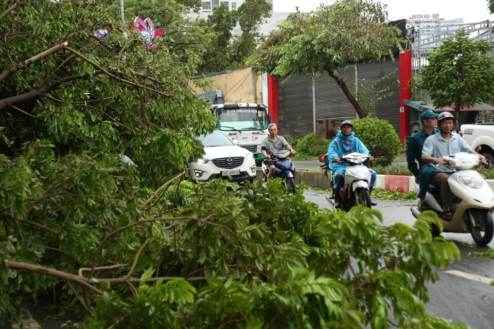 Dự kiến việc khắc phục c&acirc;y cối đổ ra đường phải mất nhiều giờ đồng hồ.