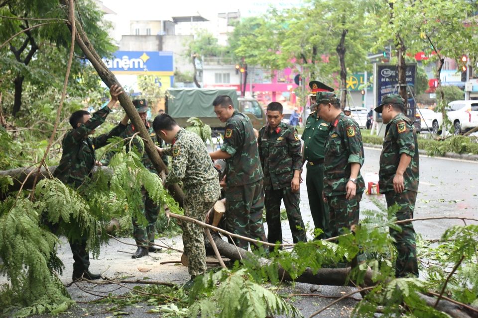 Qu&acirc;n đội đuợc huy động dọn dẹp c&acirc;y đổ.