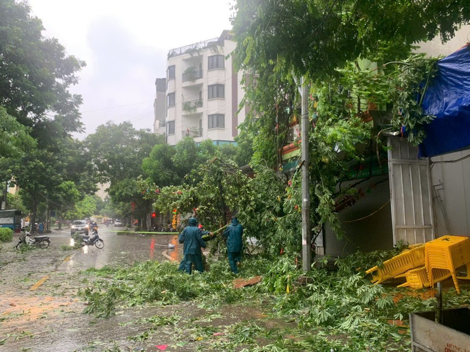 Đường Ho&agrave;ng C&ocirc;ng, Kiến Hưng phải ngăn kh&ocirc;ng cho người d&acirc;n qua v&igrave; qu&aacute; nhiều c&acirc;y đổ phải xử l&yacute;.