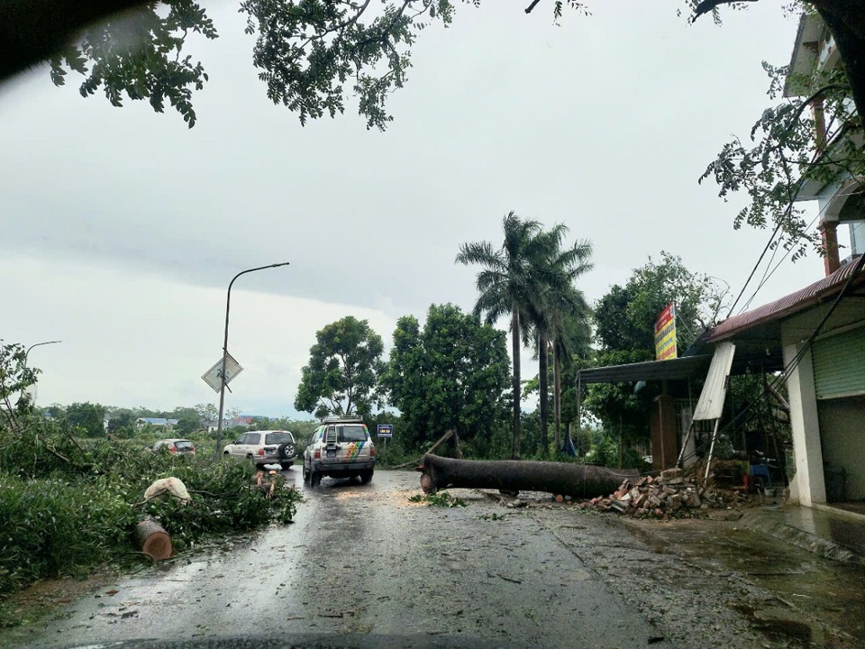 C&acirc;y xanh đổ gẫy đều được dọn dẹp ngay (ảnh chụp tại x&atilde; Đ&ocirc;ng Sơn, trưa 8/9).