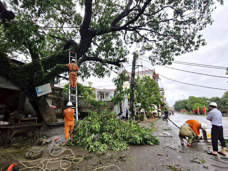 C&ocirc;ng nh&acirc;n EVNHANOI nhanh ch&oacute;ng khắc phục sự cố&nbsp; điện tại huyện Ph&uacute;c Thọ sau cơn b&atilde;o.