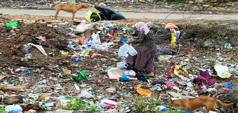 Một người đang thu gom lon nhựa tại một b&atilde;i r&aacute;c ở Hyderabad v&agrave;o thứ s&aacute;u. Ảnh: AFP