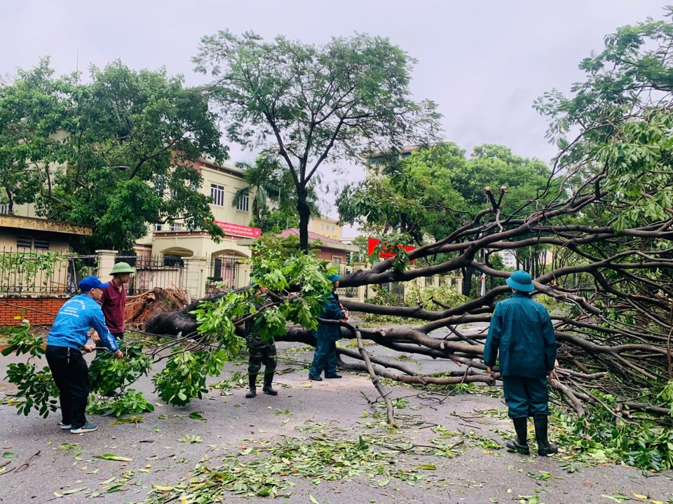 Tham gia dọn dẹp c&acirc;y g&atilde;y, đổ tr&ecirc;n đường phố