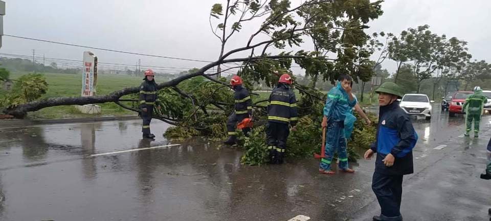 B&atilde;o số 3 đi qua huyện Quốc Oai l&agrave;m nhiều c&acirc;y g&atilde;y, đổ.