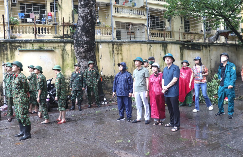 Chủ tịch UBND Quận Hai B&agrave; Trưng Nguyễn Quang Trung (&aacute;o xanh b&ecirc;n phải) chỉ đạo di dời c&acirc;y xanh bật gốc tại&nbsp;Khu tập thể Y9, phường Đồng T&acirc;m trong chiều 8/9