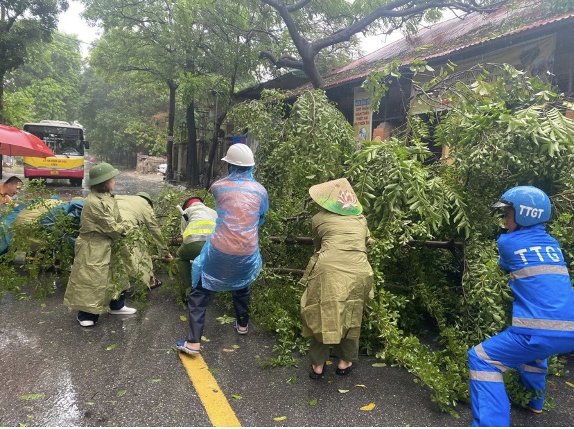 Các thành vi&ecirc;n Ban chỉ huy Ph&ograve;ng chống thi&ecirc;n tai v&agrave; t&igrave;m kiếm cứu nạn Qu&acirc;̣n Hai B&agrave; Trưng tham gia xử lý c&acirc;y đ&ocirc;̉ ngang đường