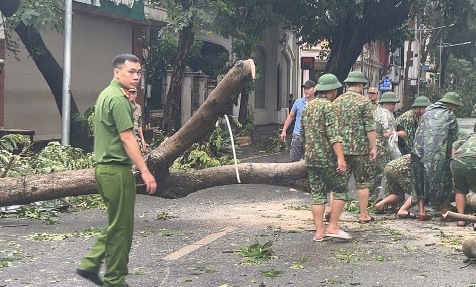 Lực lượng chức năng Quận Hai B&agrave; Trưng thực hiện di dời c&acirc;y đổ ngang đường do b&atilde;o số 3 tại phố Đo&agrave;n Trần Nghiệp&nbsp;