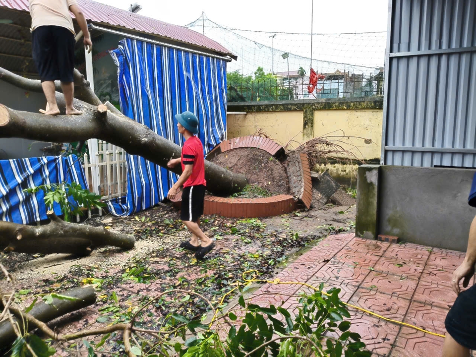 Hiện c&aacute;c trường đ&atilde; huy động lực lượng ra qu&acirc;n xử l&yacute; những c&acirc;y bị g&atilde;y đổ, dọn dẹp vệ sinh m&ocirc;i trường.