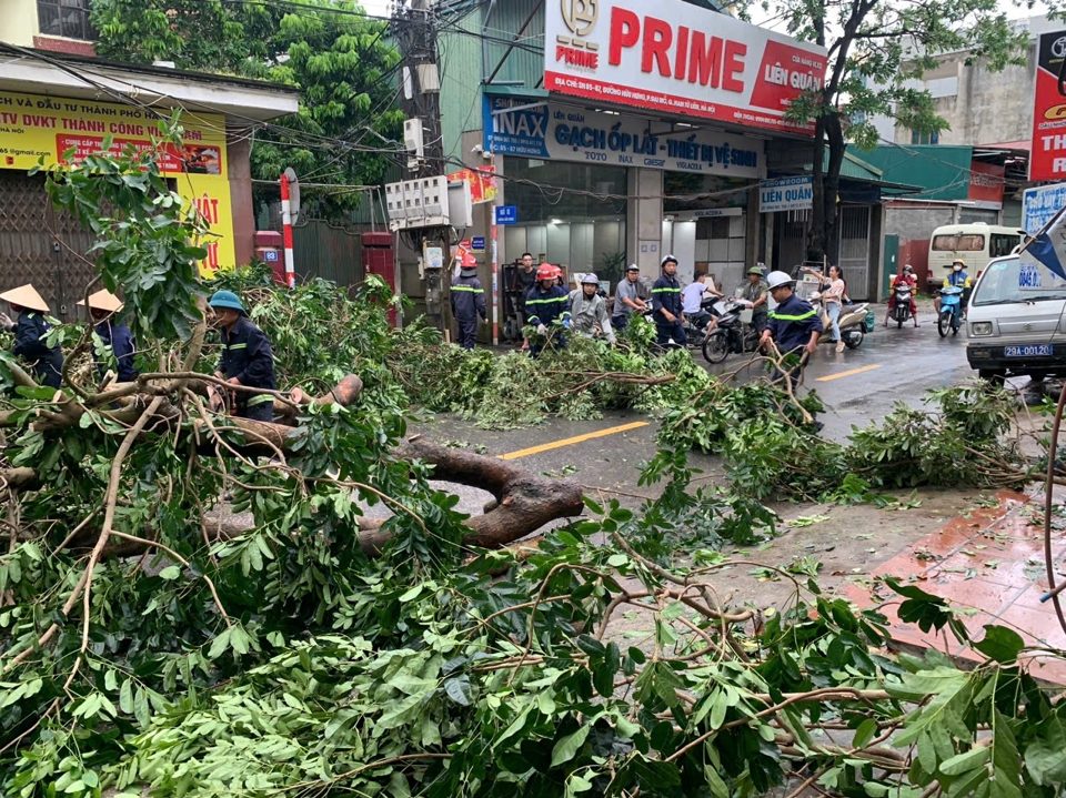 Thu dọn c&acirc;y ở phố Đại Linh, phường Trung Văn, quận Nam Từ Li&ecirc;m.