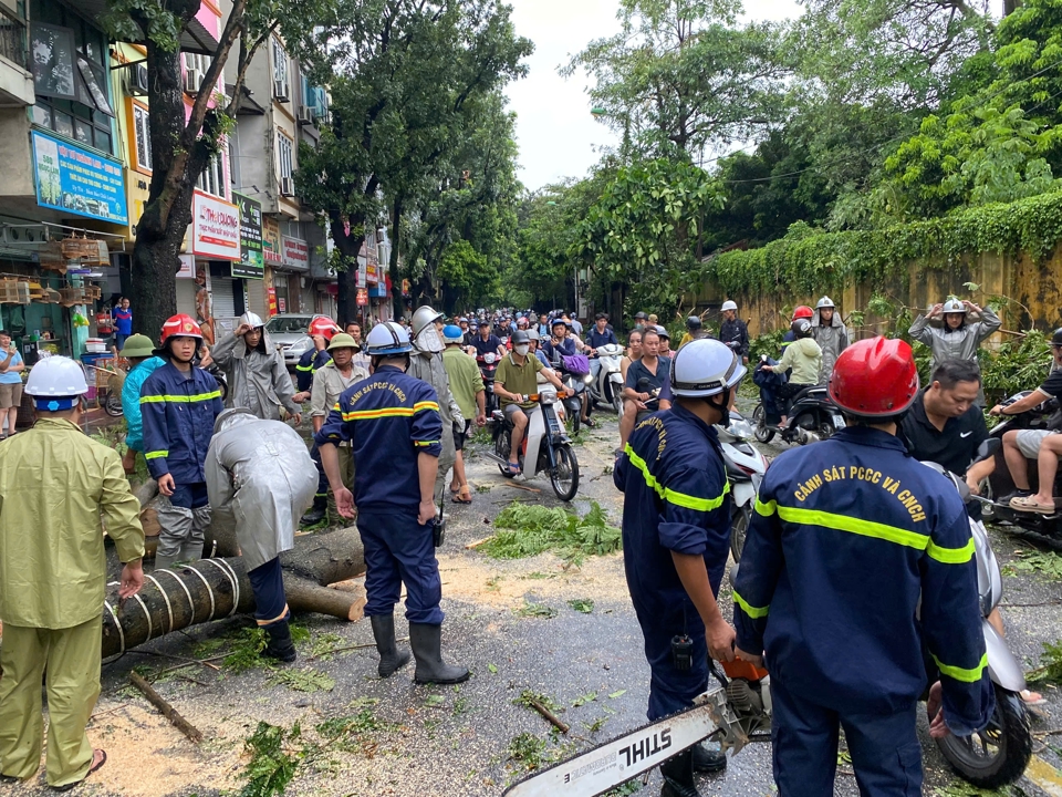 Giải ph&oacute;ng c&acirc;y g&atilde;y đổ tr&ecirc;n phố gi&uacute;p người d&acirc;n đi lại an to&agrave;n.