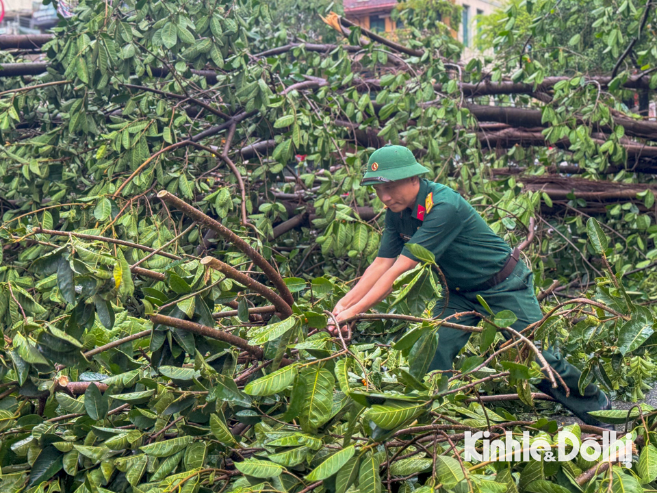 Hà Nội: Lực lượng chức năng cùng người dân khắc phục hậu quả sau bão - Ảnh 13