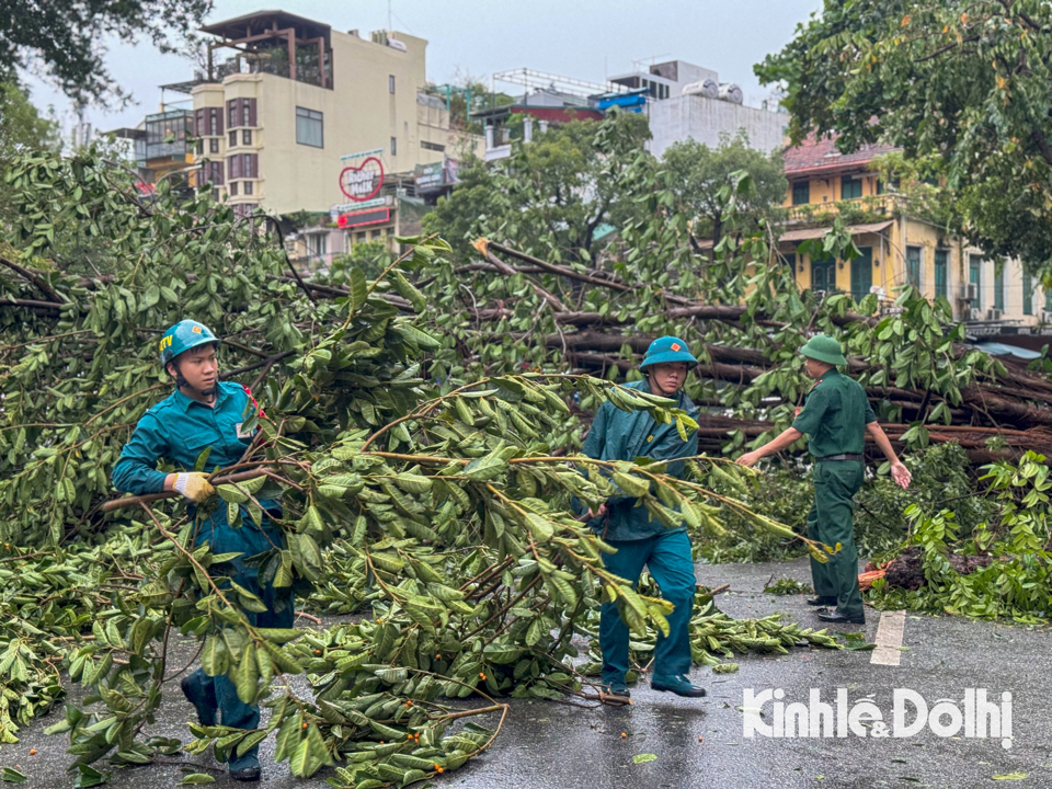 Hà Nội: Lực lượng chức năng cùng người dân khắc phục hậu quả sau bão - Ảnh 12