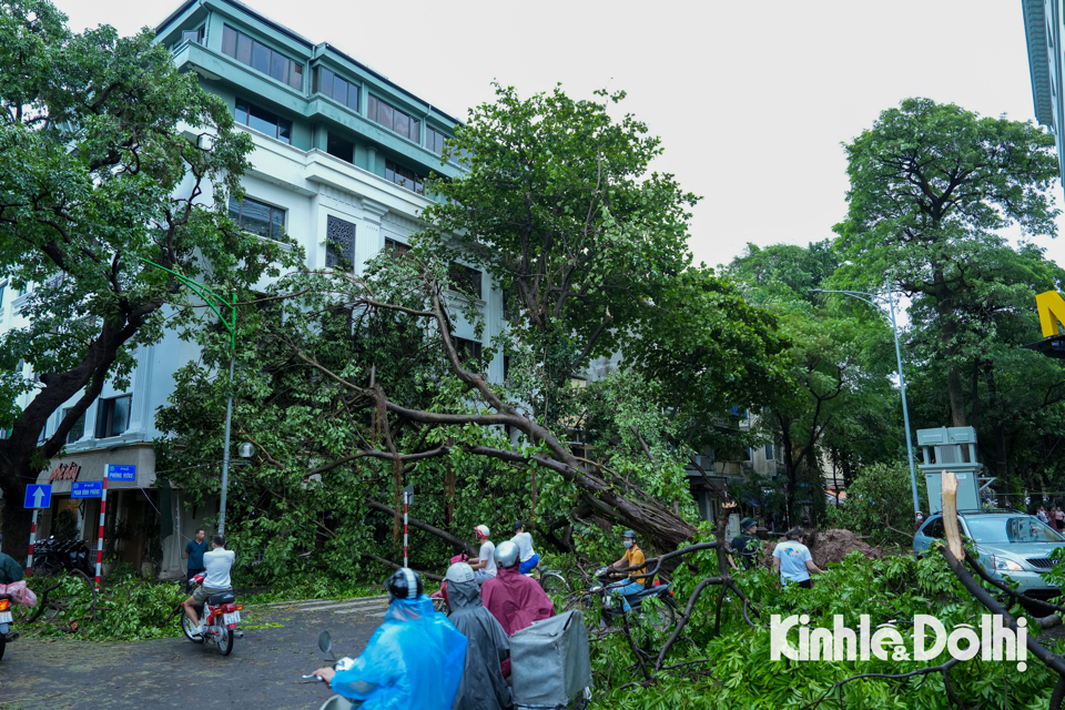 Hà Nội: Lực lượng chức năng cùng người dân khắc phục hậu quả sau bão - Ảnh 2