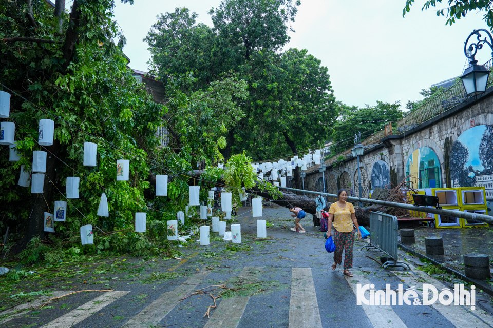 Tại tuyến phố Ph&ugrave;ng Hưng (quận Ho&agrave;n Kiếm) h&agrave;ng loạt c&acirc;y đổ ngổn ngang.