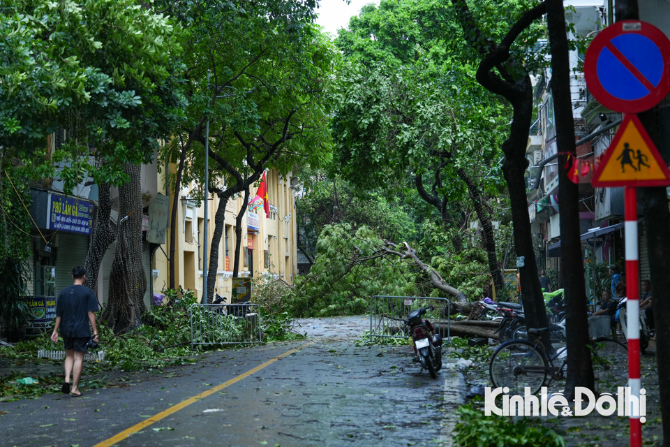 Hà Nội: Lực lượng chức năng cùng người dân khắc phục hậu quả sau bão - Ảnh 1