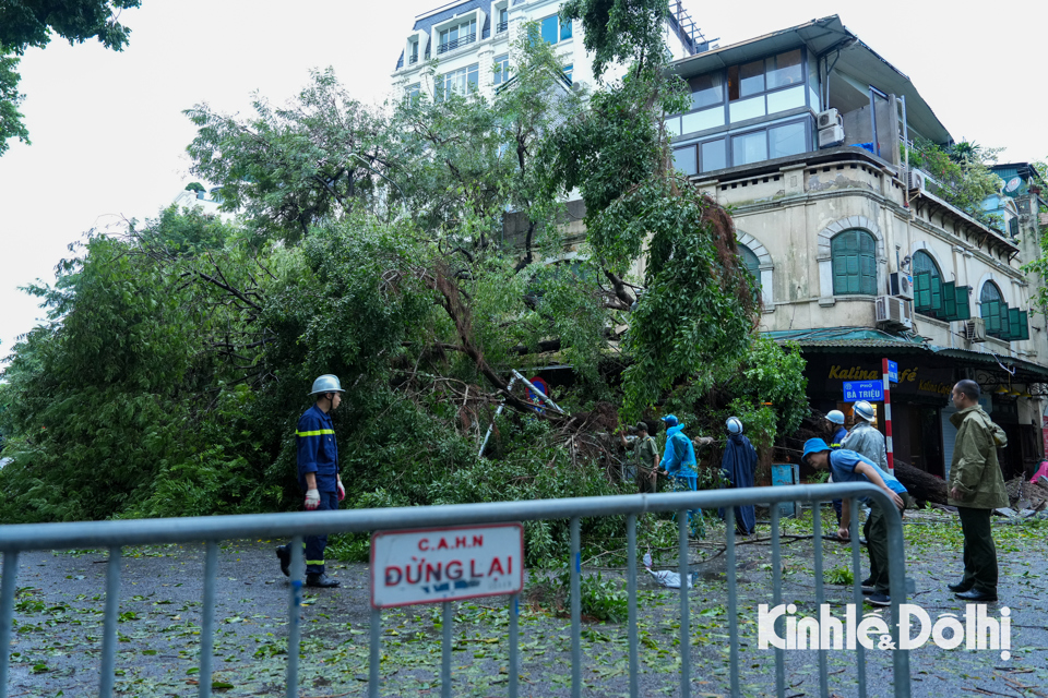 Nhiều người d&acirc;n, lực lượng c&ocirc;ng an, qu&acirc;n đội đ&atilde; tiến h&agrave;nh dọn dẹp c&acirc;y xanh g&atilde;y đổ tr&ecirc;n đường phố H&agrave; Nội.