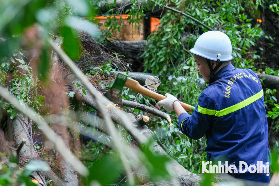 Hà Nội: Lực lượng chức năng cùng người dân khắc phục hậu quả sau bão - Ảnh 11