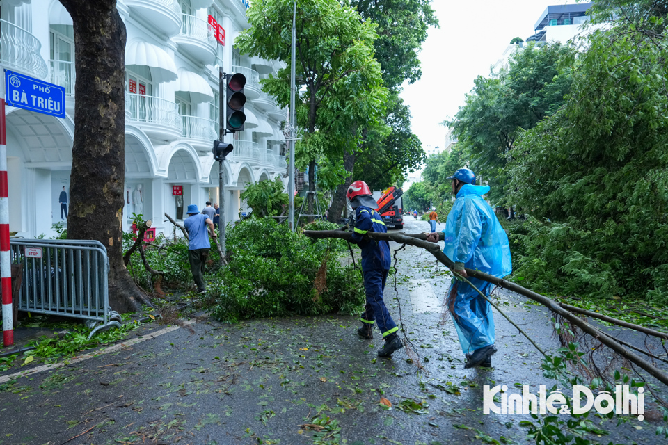 Hà Nội: Lực lượng chức năng cùng người dân khắc phục hậu quả sau bão - Ảnh 14