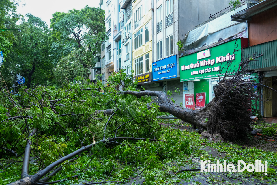 Hà Nội: Lực lượng chức năng cùng người dân khắc phục hậu quả sau bão - Ảnh 4