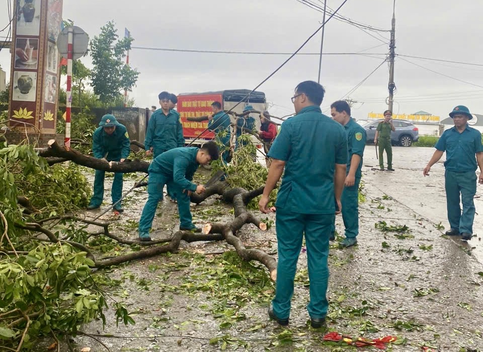 Xử l&yacute; c&acirc;y g&atilde;y, đổ tr&ecirc;n địa b&agrave;n huyện Gia L&acirc;m.