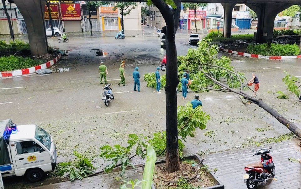 Lực lượng xung k&iacute;ch phường Thanh Xu&acirc;n Bắc kịp thời xử l&yacute; c&acirc;y bị gẫy đổ