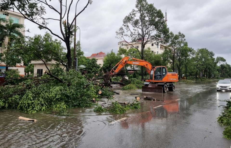 C&acirc;y đổ ngổn ngang tr&ecirc;n đường ở th&agrave;nh phố Bắc Ninh.