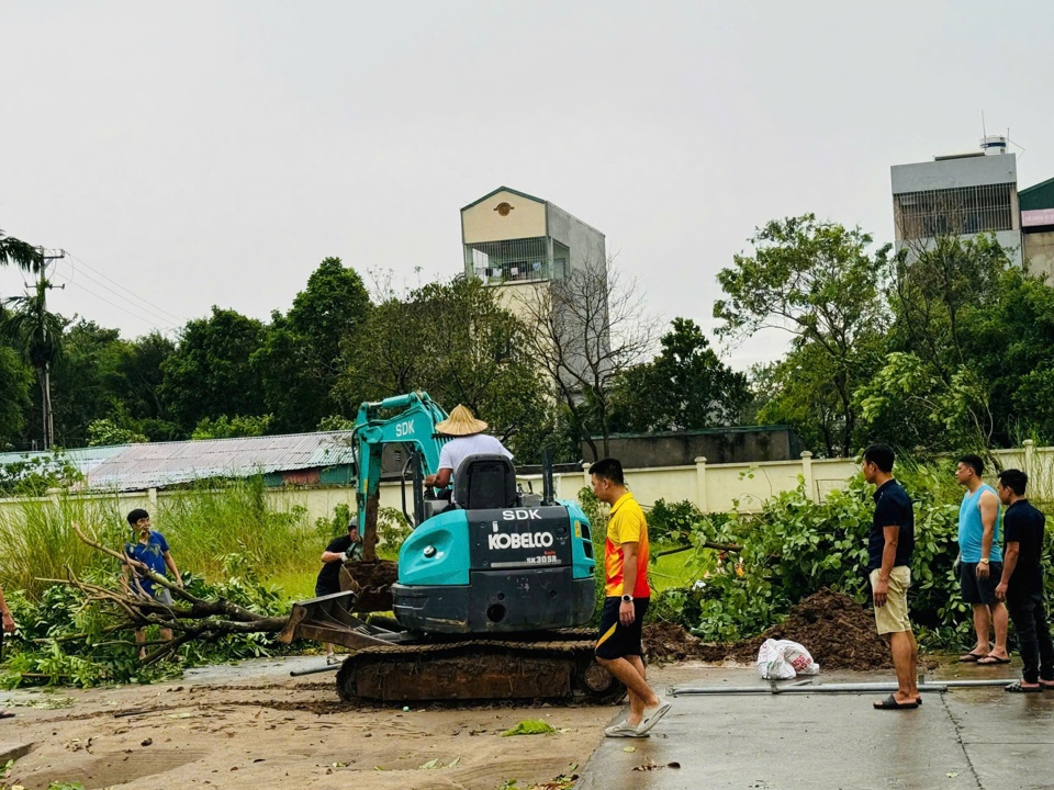 Trồng lại c&acirc;y xanh v&agrave;o c&aacute;c vị tr&iacute; c&oacute; c&acirc;y g&atilde;y, đổ.