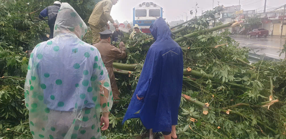 C&acirc;y g&atilde;y đổ ngay trước mũi t&agrave;u hỏa được nh&acirc;n vi&ecirc;n đường sắt khẩn trương thu dọn.