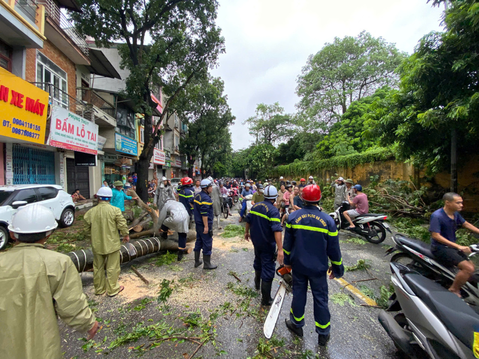 Tuyến đường Cầu Gỗ &ugrave;n tắc giao th&ocirc;ng do c&acirc;y đổ.