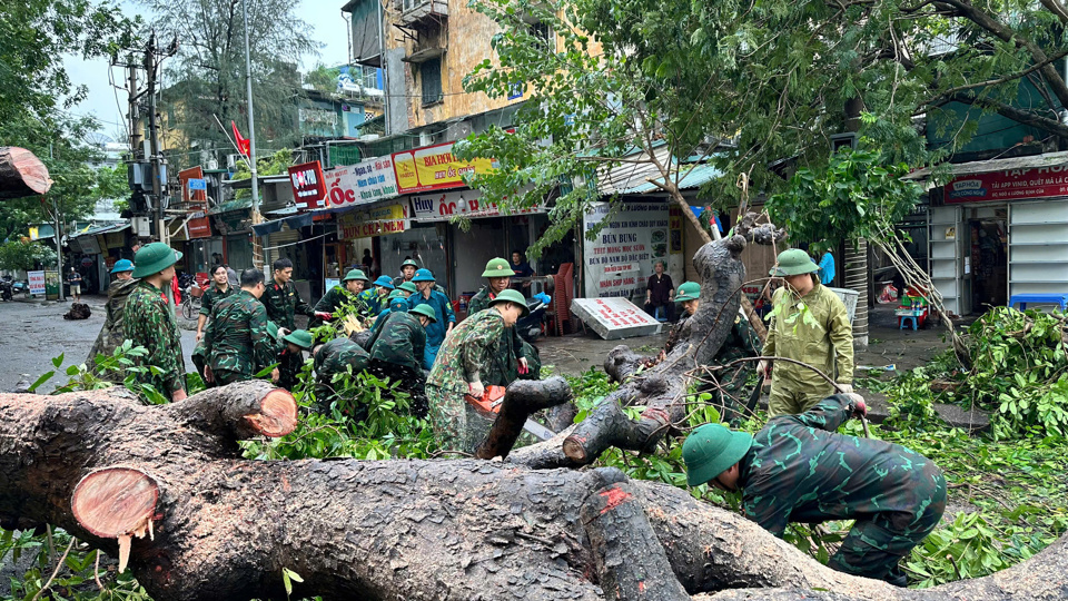 Lực lượng c&ocirc;ng binh được huy động để dọn dẹp c&acirc;y g&atilde;y đổ sau b&atilde;o.