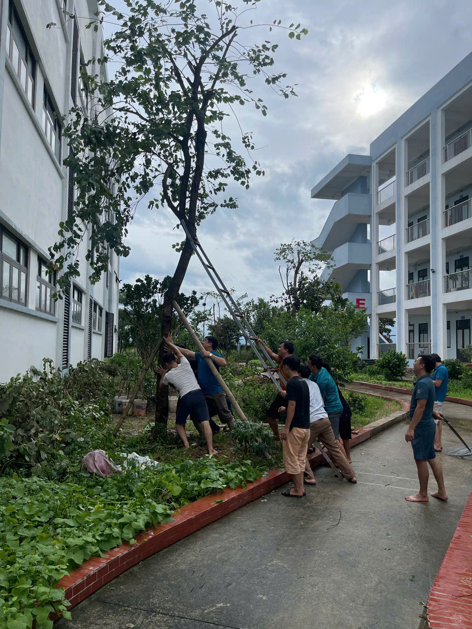 Th&acirc;̀y c&ocirc; giáo Trường Ti&ecirc;̉u học &amp; THCS Mỹ Đức tổng vệ sinh, trồng lại c&acirc;y xanh sáng ngày 8/9. Ảnh: V. Bi&ecirc;n.