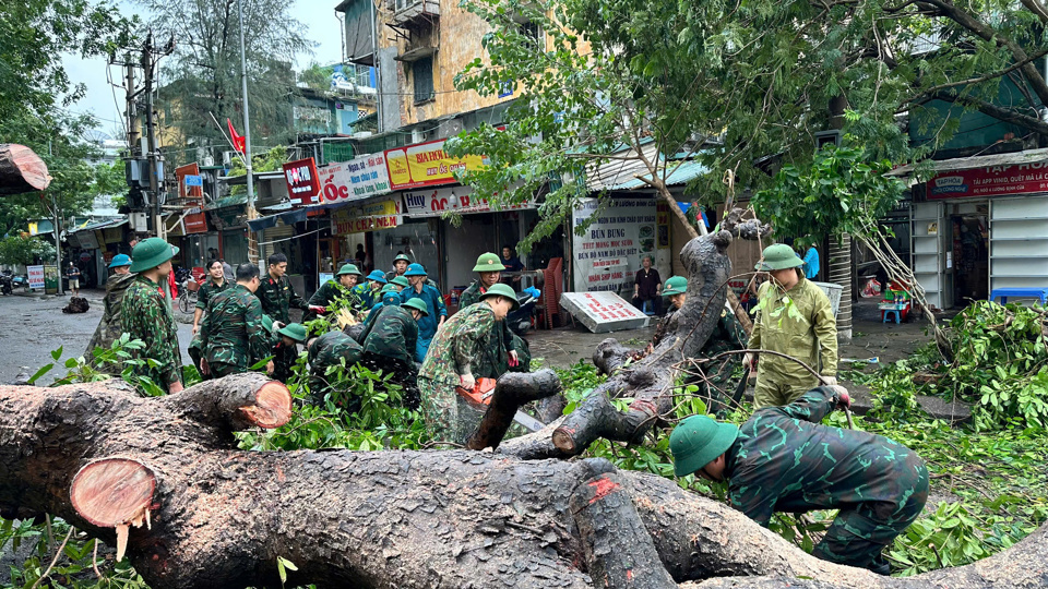 Lực lượng c&ocirc;ng binh được huy động để dọn dẹp c&acirc;y g&atilde;y đổ sau b&atilde;o tr&ecirc;n địa b&agrave;n quận Đống Đa. Ảnh: Trần Long