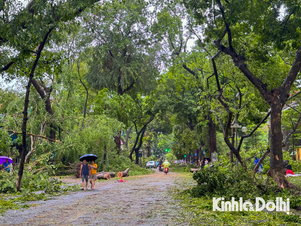 Hà Nội: Lực lượng chức năng cùng người dân khắc phục hậu quả sau bão - Ảnh 7