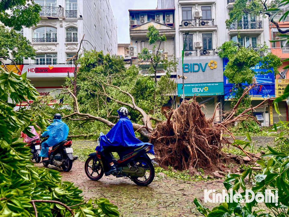 Hà Nội: Lực lượng chức năng cùng người dân khắc phục hậu quả sau bão - Ảnh 8