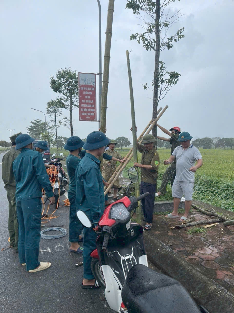 Tr&ocirc;̀ng lại c&acirc;y xanh bị đ&ocirc;̉ gãy. Ảnh: Ánh Ngọc