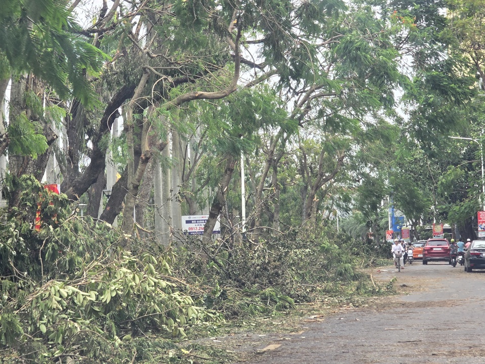 H&agrave;ng c&acirc;y tại trung t&acirc;m TP ngổn ngang. Ảnh: Vĩnh Qu&acirc;n