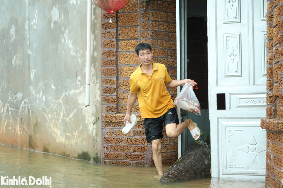 Trước cửa nh&agrave; &ocirc;ng Ph&ugrave;ng Văn Mười đặt nơm đ&aacute;nh c&aacute; khi nước tr&agrave;n v&agrave;o tận nh&agrave;.