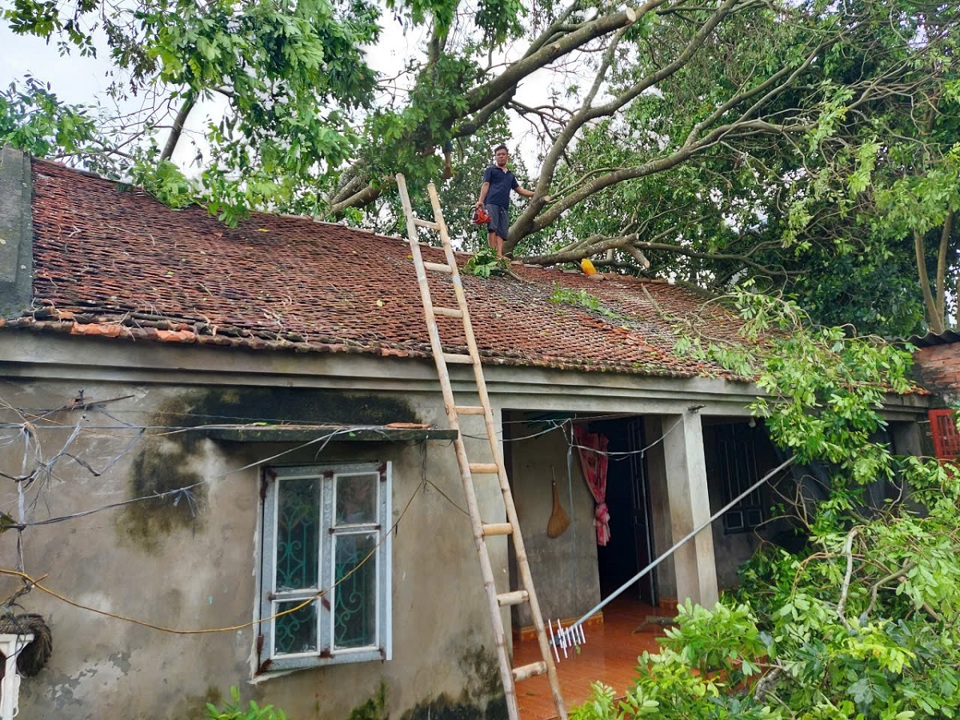 Người d&acirc;n th&ocirc;n Trung Vực trong, x&atilde; Thượng Vực dọn dẹp c&acirc;y cối đổ v&agrave;o nh&agrave; sau b&atilde;o số 3.