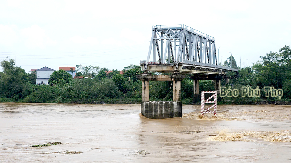 Ảnh: B&aacute;o Ph&uacute; Thọ