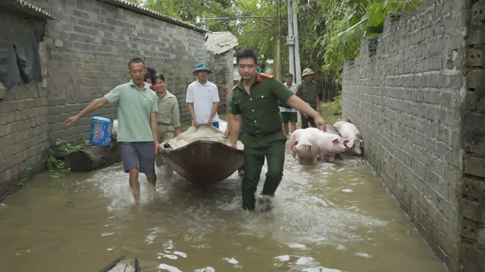 Tại x&atilde; Vật Lại, lực lượng c&ocirc;ng an x&atilde;, d&acirc;n qu&acirc;n tự vệ... được huy động 100% gi&uacute;p người d&acirc;n di chuyển đồ đạc, t&agrave;i sản... trong 2 ng&agrave;y 9 v&agrave; 10/9 khi nước d&acirc;ng cao.