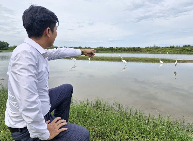 H&agrave; Tĩnh c&oacute; 137km bờ biển v&agrave; nhiều khu rừng ngập mặn, rừng ph&ograve;ng hộ, đồng ruộng, đầm lầy&hellip; l&agrave; nơi tr&uacute; ẩn, sinh sống của c&aacute;c lo&agrave;i chim di cư