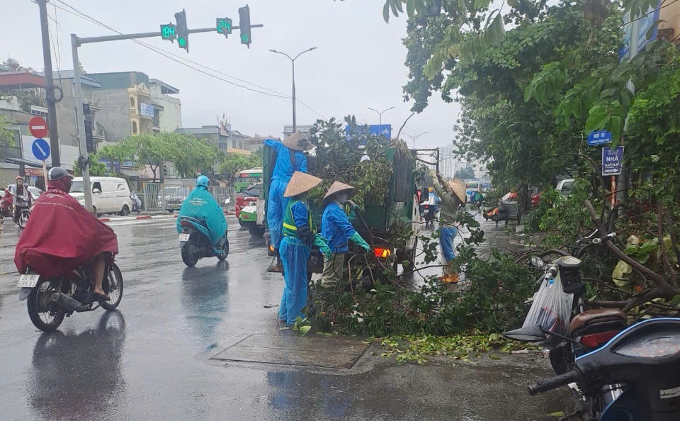 C&ocirc;ng t&aacute;c dọn dẹp l&aacute;, c&agrave;nh c&acirc;y gẫy đỗ đ&atilde; được c&aacute;c đơn vị duy tr&igrave; vệ sinh m&ocirc;i trường tr&ecirc;n địa b&agrave;n th&agrave;nh phố chủ động thực hiện ngay sau b&atilde;o số 3 đi qua.&nbsp;