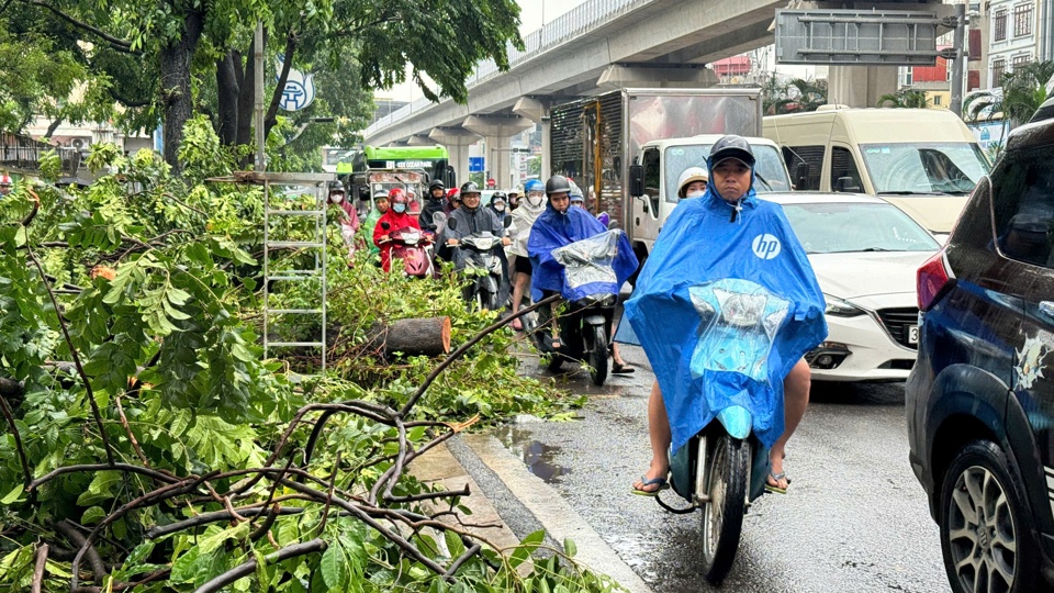 Một số vị tr&iacute; c&acirc;y xanh đổ g&atilde;y chưa được thu dọn, ảnh hưởng đến khả năng lưu th&ocirc;ng tr&ecirc;n tuyến Nguyễn Tr&atilde;i - T&acirc;y Sơn.