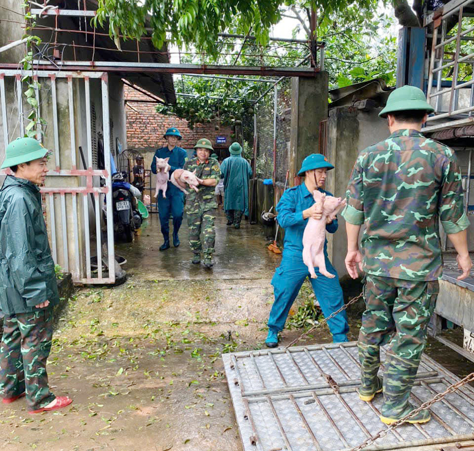 C&aacute;n bộ Ban Chỉ huy qu&acirc;n sự huyện Đan Phượng c&ugrave;ng lực lượng d&acirc;n qu&acirc;n hỗ trợ người d&acirc;n di chuyển đ&agrave;n lợn đến nơi an to&agrave;n.