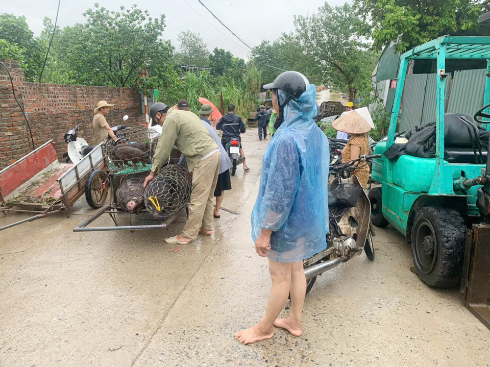 Người d&acirc;n v&ugrave;ng ngập &uacute;ng di chuyển t&agrave;i sản đến nơi an to&agrave;n.