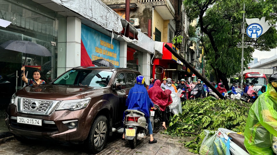 C&acirc;y đổ, &ocirc; t&ocirc; dừng đỗ, xe m&aacute;y leo l&ecirc;n khiến nhiều đoạn vỉa h&egrave; cực kỳ kh&oacute; đi lại, nhất l&agrave; với người đi bộ.