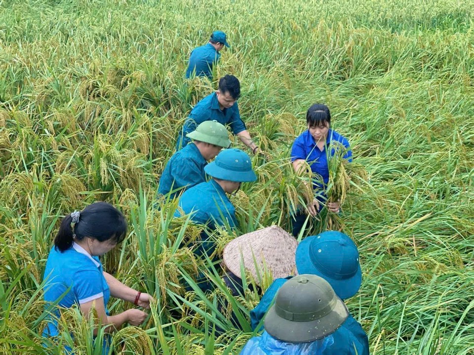 Trong những ng&agrave;y vừa qua, c&aacute;c cấp Hội Phụ nữ đ&atilde; t&iacute;ch cực hỗ trợ người d&acirc;n khắc phục hậu quả cơn b&atilde;o số 3