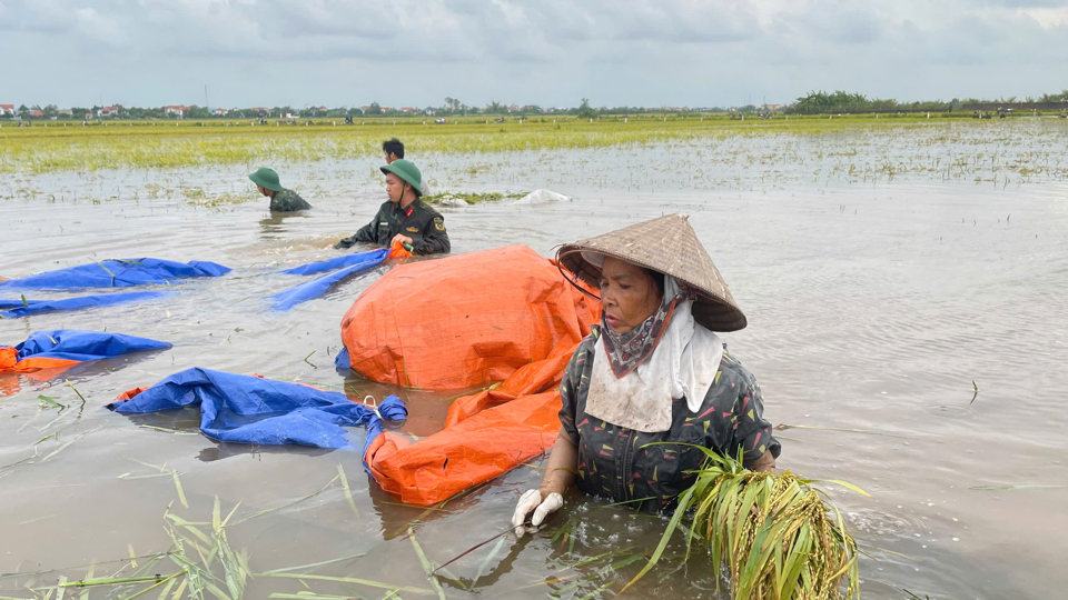 H&igrave;nh ảnh chiến sĩ, c&aacute;n bộ xuống đồng hỗ trợ tạo n&ecirc;n vẻ đẹp&nbsp;&yacute; nghĩa thắm đượm t&igrave;nh qu&acirc;n d&acirc;n.